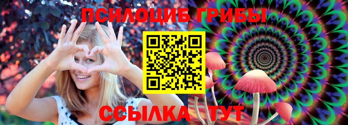 Псилоцибиновые грибы Psilocybe  Псилоцибиновые грибы Magic Shrooms  Вход с VPN  Добрянка 